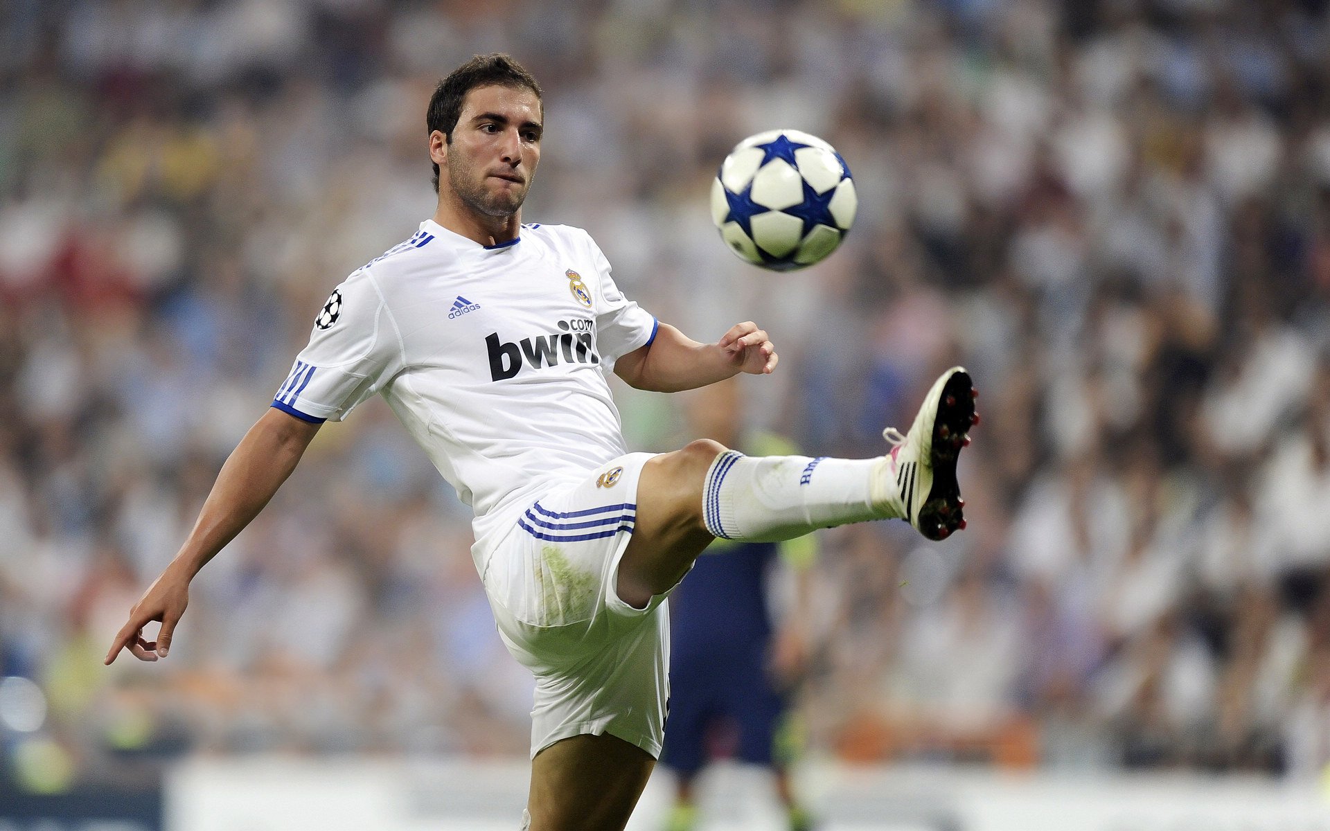 弗拉门戈体能储备充足，弗拉门戈的影响